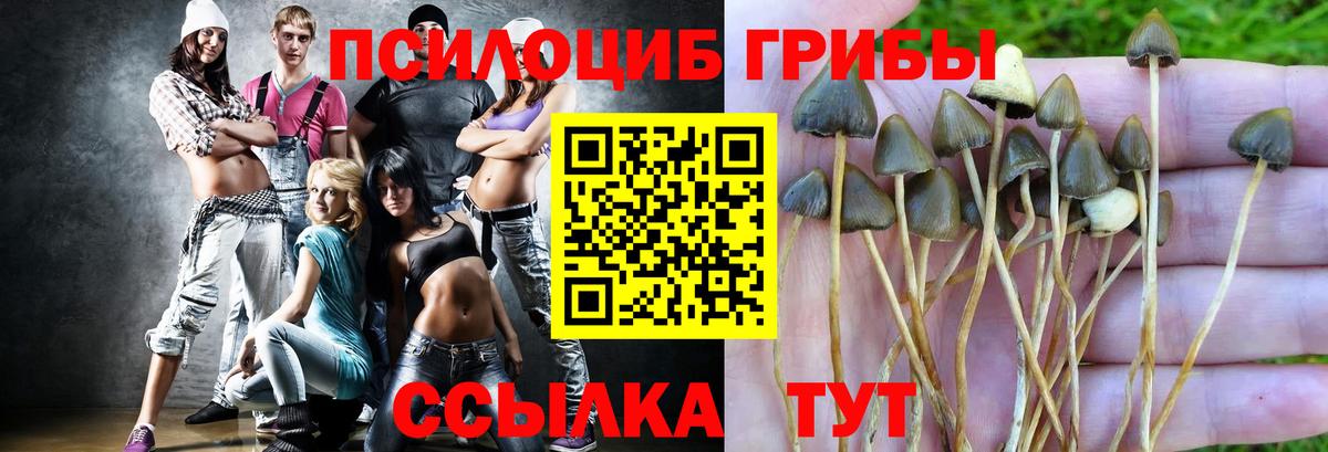 Галлюциногенные грибы Magic Shrooms  Вход с VPN  Котлас 