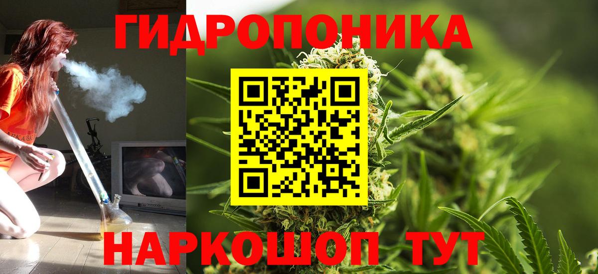 Бошки Шишки планчик Котлас